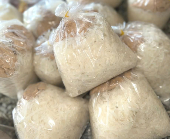 Bì Heo Thái Sợi nhỏ